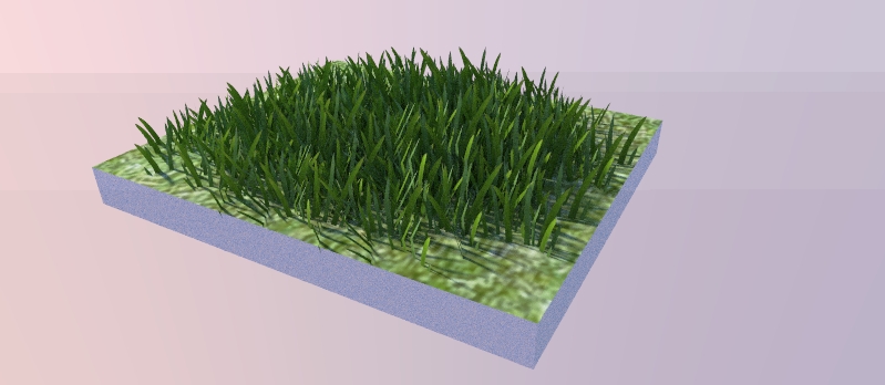 grass.jpg