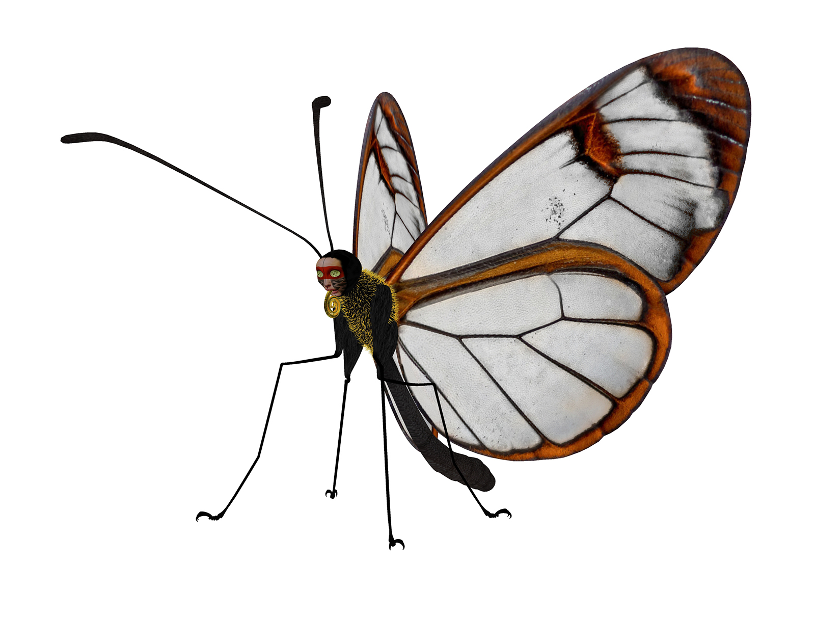Brazilian Butterfly - danielreple 01.jpg