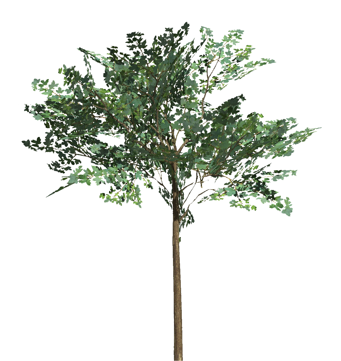 TREE TEST 200.psd.png