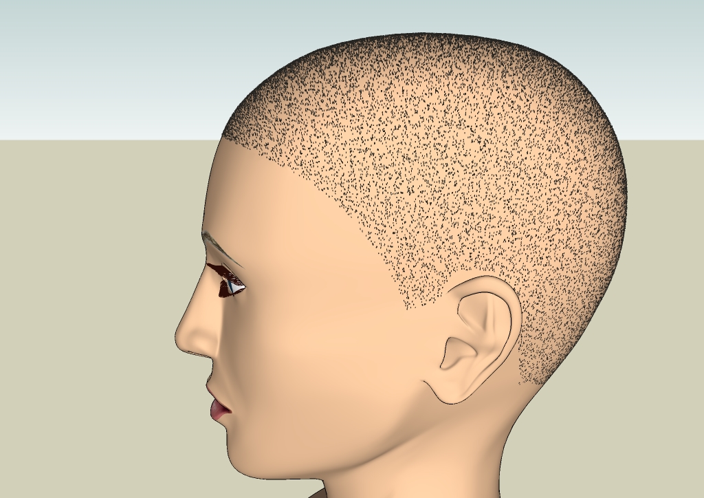 Human head by EliseiDesign 14.jpg
