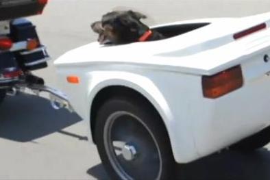 dog-trailer-for-motorcycle.jpg