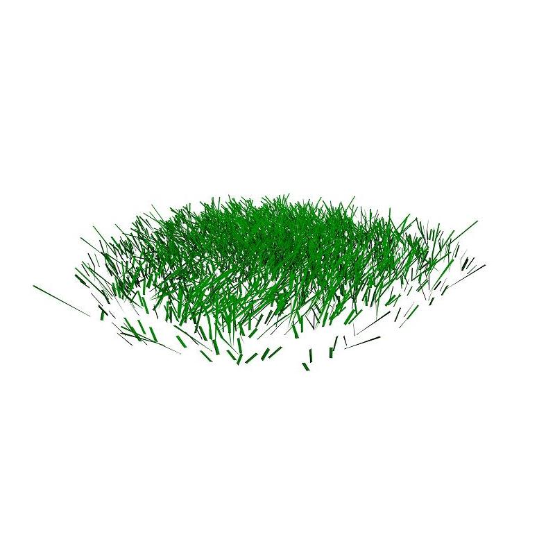 Gras.jpg