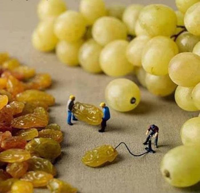 How-grapes-are-made.jpg