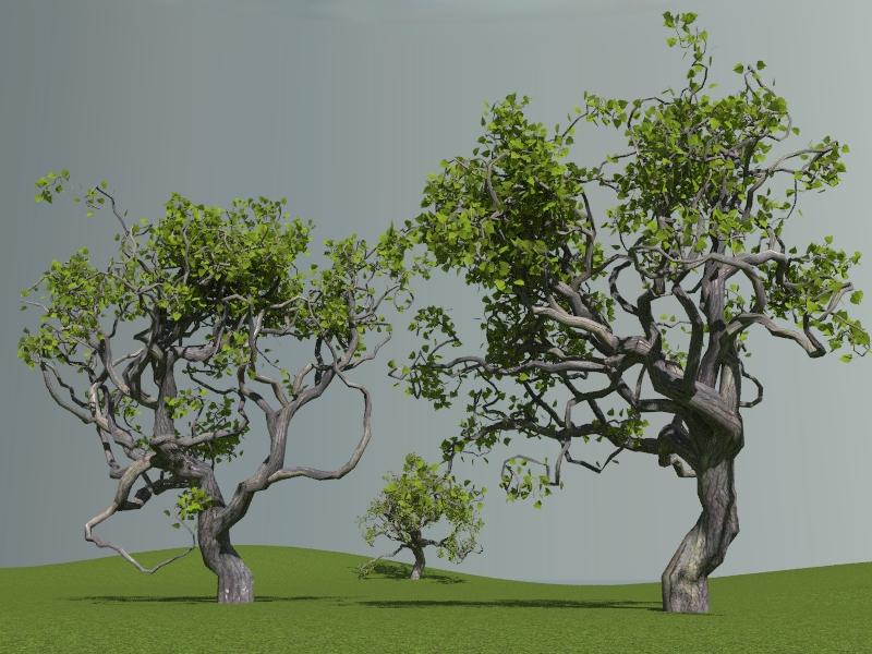 Blender Lsystem Trees2.JPG