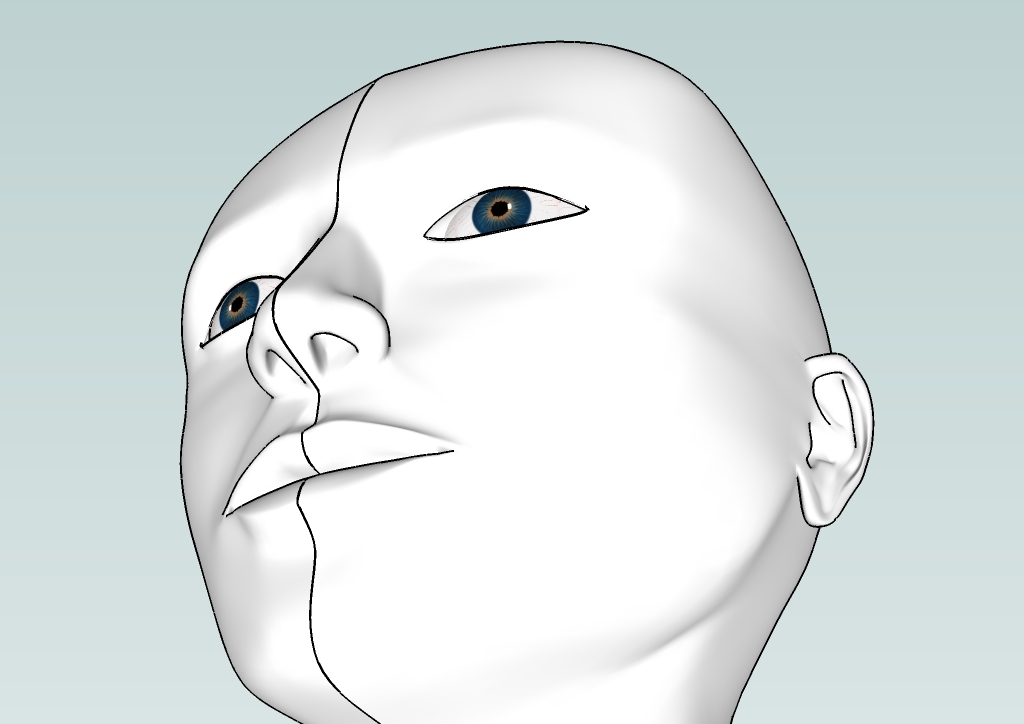 Human head by EliseiDesign 7.jpg