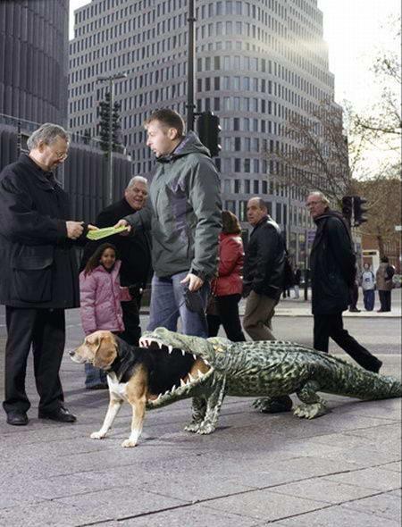 dog-costume-being-eaten-by-an-alligator1.jpg