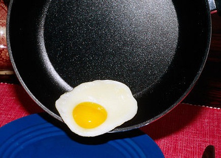 Teflon coated frying pan.jpg