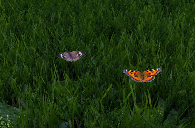 Butterflies-TW-1.jpg