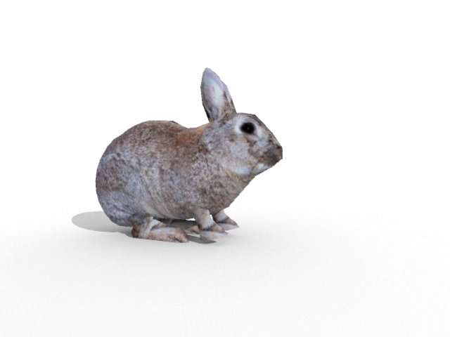 shaderlight_bunny.jpg