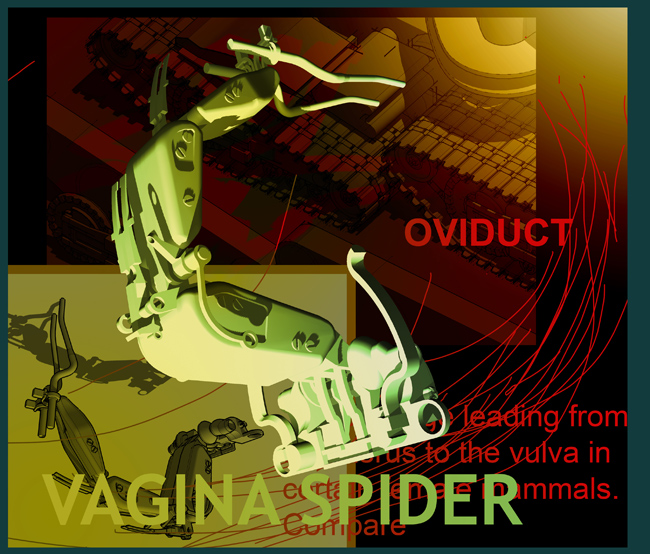 SS.VAGINA_SPIDER_1.jpg