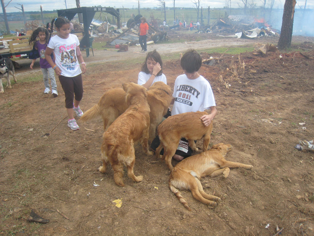 A few volunteer kids keeping the neighborhood dogs company and out of harms way.