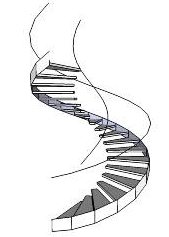 Spiral Stair.jpg