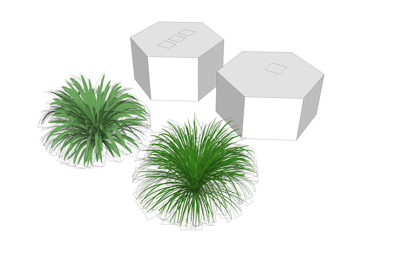 GRASS-PLANT.jpg