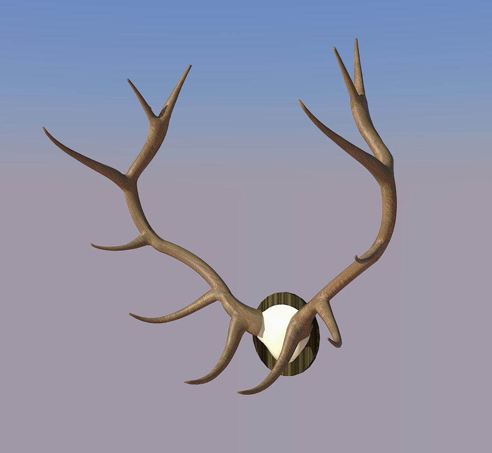 elk antlers.jpg