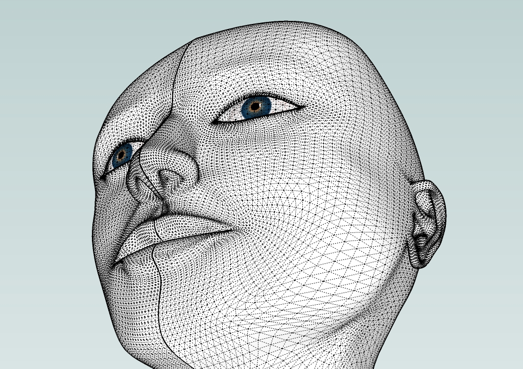 Human head by EliseiDesign 6.jpg