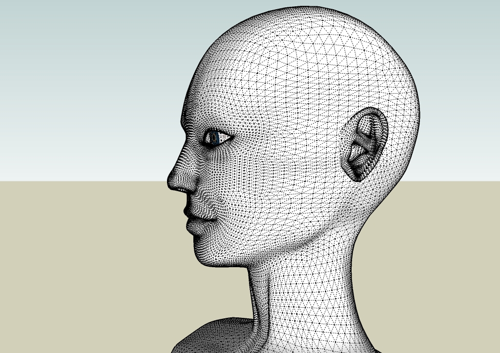 Human head by EliseiDesign 3.jpg