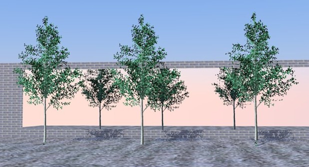 Trees rendered in Kerkythea. PNG applied to front faces as well.