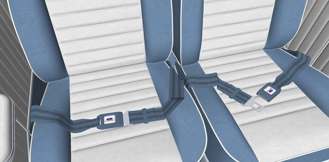 Image #4 - Seat Belts