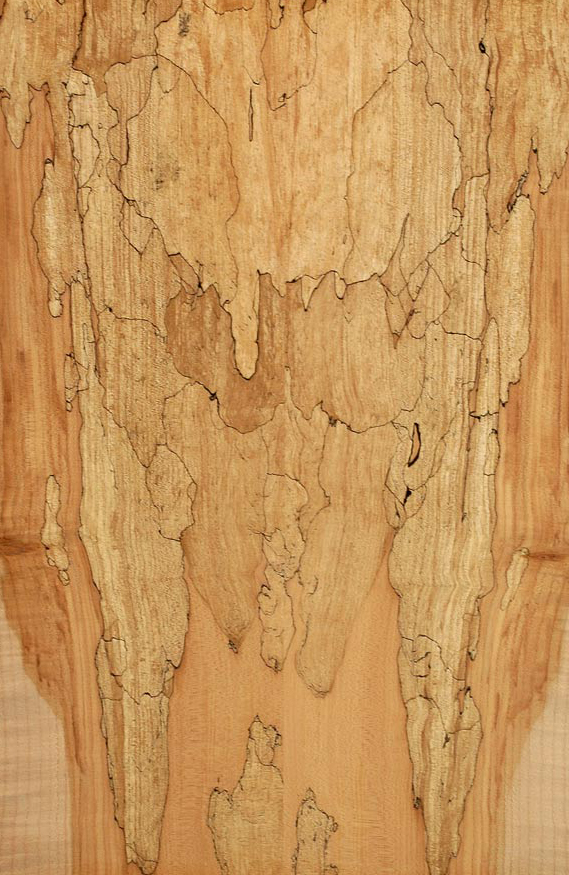 bookmatched spalted maple 3.jpg