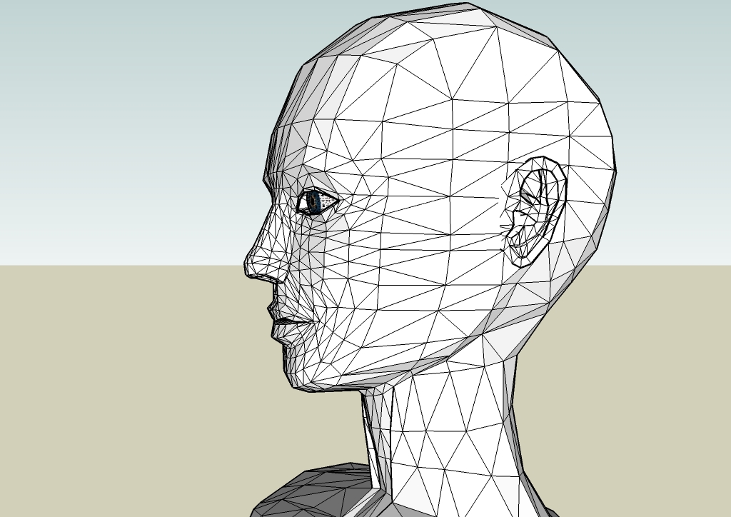 Human head by EliseiDesign.jpg