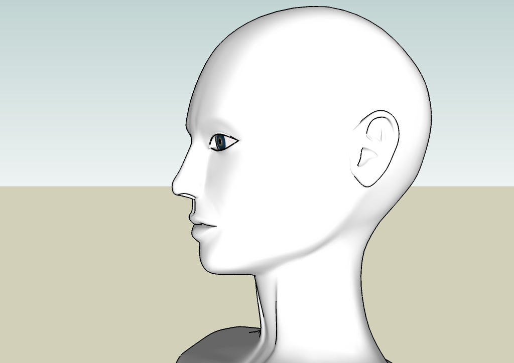 Human head by EliseiDesign 2.jpg