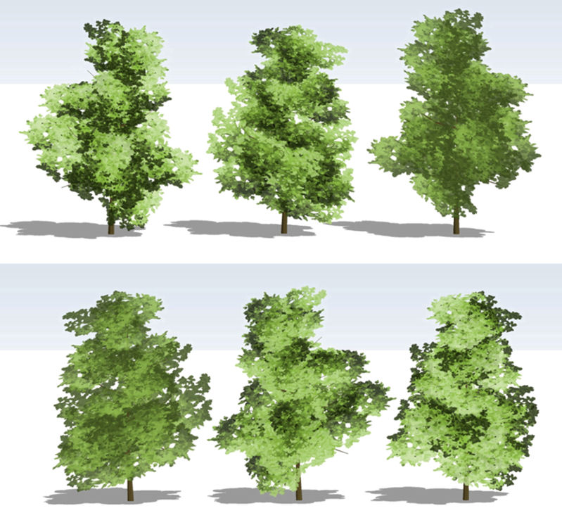 tree-b1-6.jpg