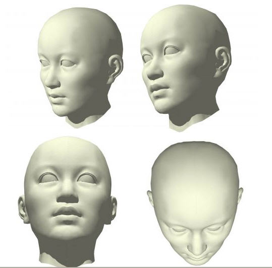 human head.jpg