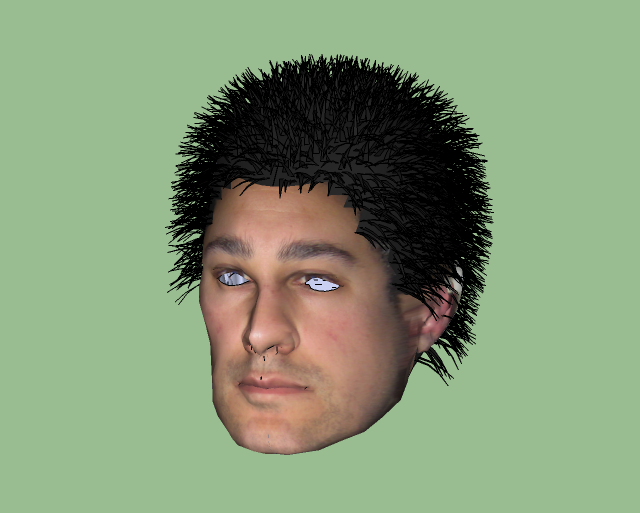 hairy head.png