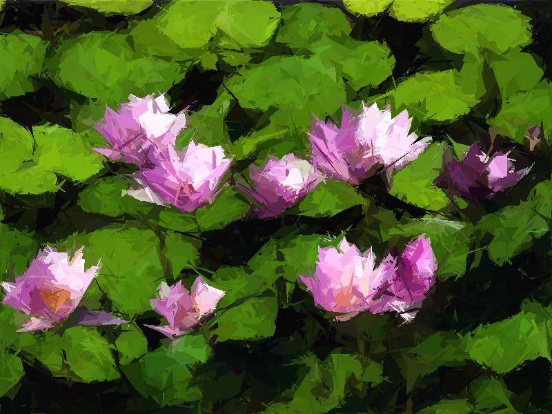 FotoSketcher - Water lilies.jpg