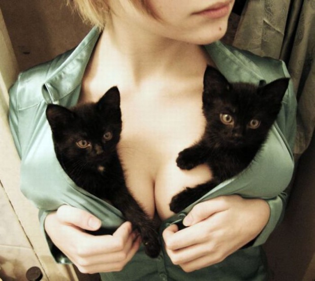 Kittens  ;).