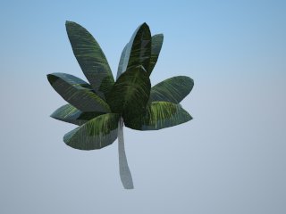 3D Tree rendered in Vray