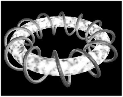 coil around a torus